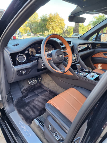 Leather Nano Diamond Coating